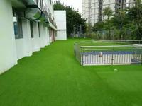 SGS certification back yard grass and synthetic lawn for garden MX1208